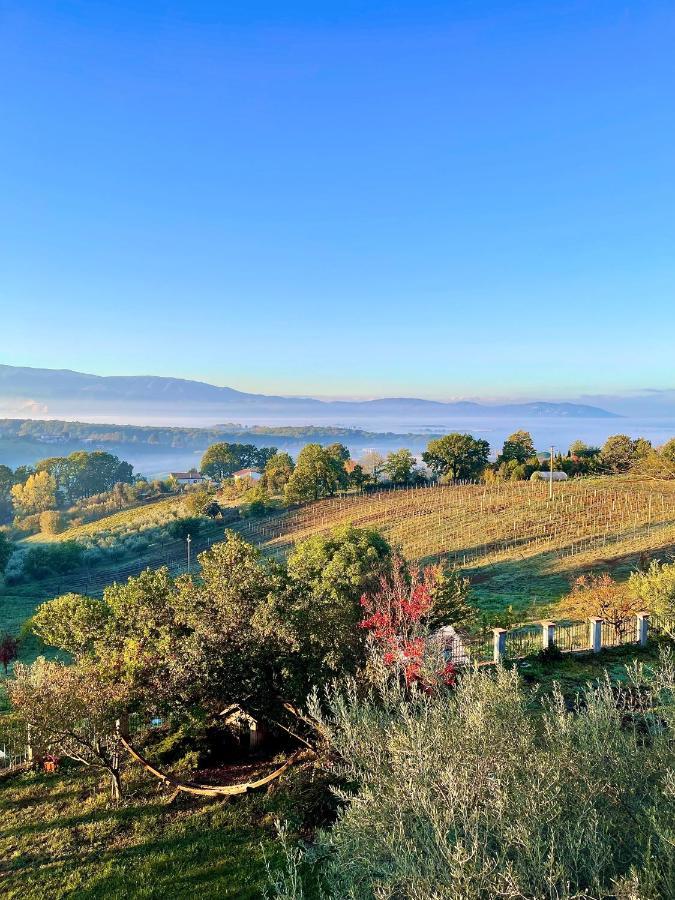 Апарт отель Donna Vittori - Borgo Agricolo Paliano Экстерьер фото