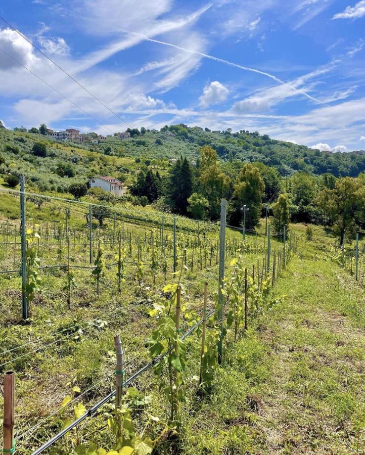 Апарт отель Donna Vittori - Borgo Agricolo Paliano Экстерьер фото