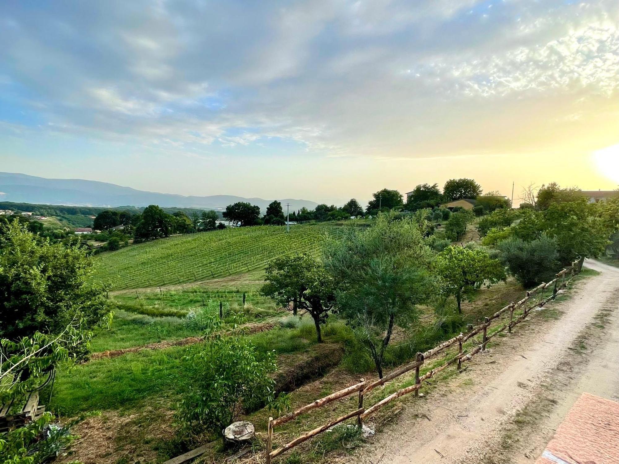 Апарт отель Donna Vittori - Borgo Agricolo Paliano Экстерьер фото