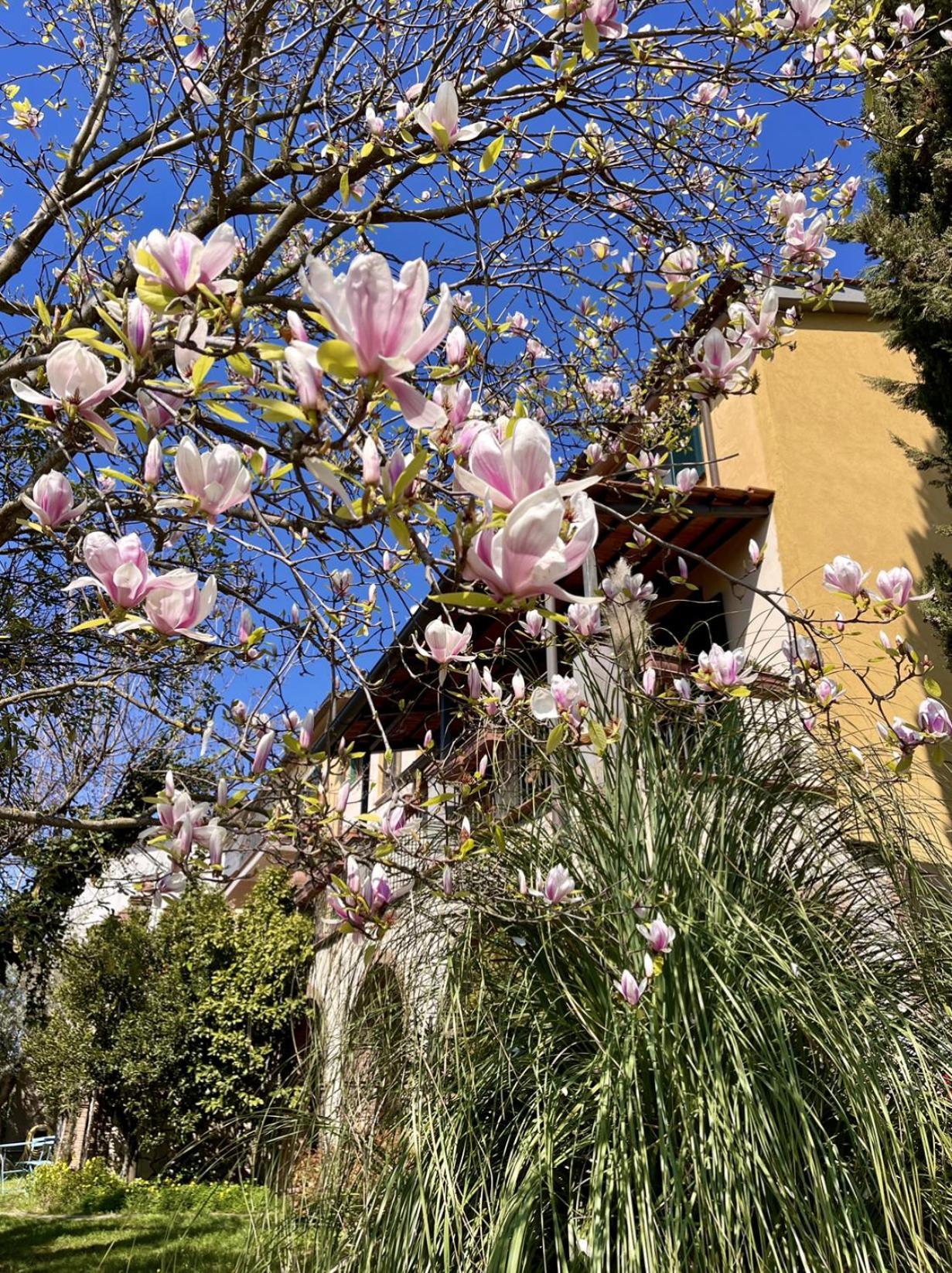 Апарт отель Donna Vittori - Borgo Agricolo Paliano Экстерьер фото